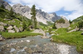 Alpenregion Bludenz Tourismus GmbH: Den Sommer erwandern im Biosphärenpark Großes Walsertal - BILD