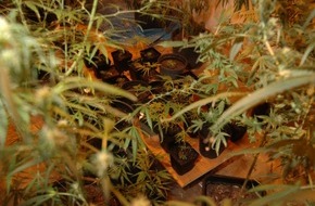 Polizeidirektion Göttingen: POL-GOE: (1096/2007) Wohngemeinschaft betreibt Cannabisanbau - 70 Pflanzen beschlagnahmt - Fotos im Download
