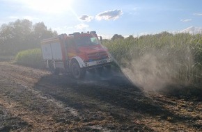 Freiwillige Feuerwehr Bad Oeynhausen: FW Bad Oeynhausen: Fl&auml;chenbrand zwischen Werre Park und Werre