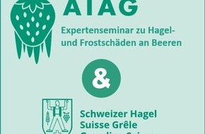 LID Pressecorner: Internationale Fachexperten diskutieren Hagel- und Frostschäden an Beeren