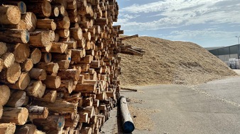 Deutsche Säge- und Holzindustrie Bundesverband e. V. (DeSH): Biomasseverordnung darf Holzenergie nicht ausbremsen