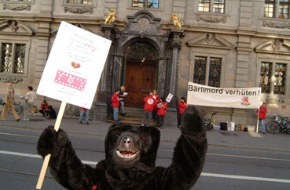 VIER PFOTEN - Stiftung für Tierschutz: Protest gegen Entscheid des Zürcher Gemeinderates: Junge Bären sind keine Wegwerfware!