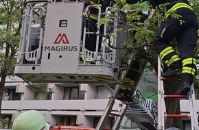 Feuerwehr M&uuml;nchen: FW-M: Rettung aus luftiger H&ouml;he (Au)
