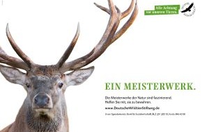 Deutsche Wildtier Stiftung: Achtung Wild! Meisterwerke werben für heimische Wildtiere / Deutsche Wildtier Stiftung startet Kampagne