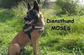 Polizei Düsseldorf: POL-D: Flingern - Diensthund Moses "schnappt" Graffiti-Sprayer - Ermittlungsverfahren eingeleitet