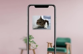 Picmentum App verwandelt Fotos in echte Wandbilder - und erweckt sie mit Augmented Reality zum Leben