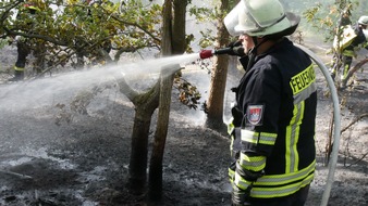 FW Celle: Waldbrand im Neustädter Holz