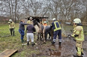 Freiwillige Feuerwehr Lehrte: FW Lehrte: Pony wird durch Feuerwehr aus misslicher Lage befreit.