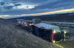 Autobahnpolizeiinspektion: API-TH: Kühe auf der Autobahn