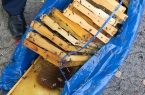 Polizeipräsidium Mittelhessen - Pressestelle Gießen: POL-GI: Bienenwaben in Weststadt entsorgt - Polizei sucht nach Zeugen