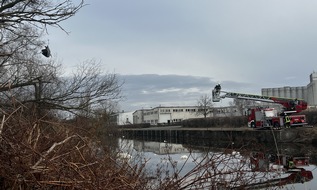 Polizeipr&auml;sidium Neubrandenburg: POL-NB: Tierischer Einsatz f&uuml;r Polizei und Feuerwehr in Malchin (LK MSE)