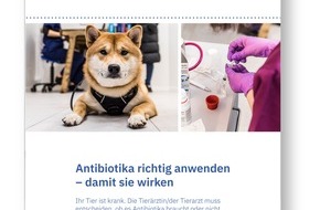 Gesellschaft Schweizer Tierärztinnen und Tierärzte (GST): Flyer für Tierhaltende: «Antibiotika richtig anwenden»