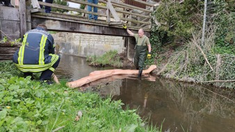 Freiwillige Feuerwehr Celle: FW Celle: Unbekannter Stoff im Stadtgraben