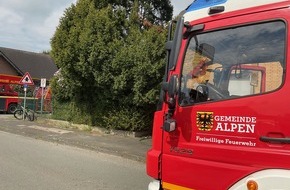 Freiwillige Feuerwehr Alpen: FW Alpen: Brennende Tanne durch Flämmarbeiten