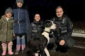 Polizeipräsidium Rostock: POL-HRO: Hund durch Polizeikräfte aus dem Eis befreit