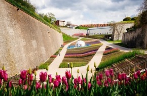 Bundesgartenschau Erfurt 2021 gGmbH: Erfurter Gartenschätze