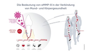 DMS - Die MundgesundheitsStiftung: aMMP-8: Ein körpereigenes Enzym öffnet Viren Tür und Tor