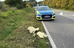 Polizeipräsidium Koblenz: POL-PPKO: Wiederholte Vorfälle von Schrauben und Bauschaum auf den Fahrbahnen im Dienstgebiet der Polizeiinspektion Boppard
