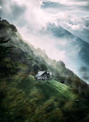 Schwarznasenschaf Berta gewinnt den PR-Bild Award für die Schweiz