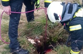 Feuerwehr Witten: FW Witten: Hund stützt drei Meter tief in Kanalschacht