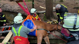 FW Bad Säckingen: Tierrettung - Pferd eingebrochen