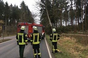 Kreisfeuerwehrverband Lüchow-Dannenberg e.V.: FW Lüchow-Dannenberg: Sturmtief "Nadia" verschont auch Lüchow-Dannenberg nicht