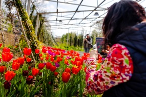 Vom 'Lost Place' zum 'Gr&uuml;nen Herzen' &ndash; Landesgartenschau Neuss 2026 er&ouml;ffnet am 16. April