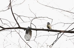 NOMOS Glash&uuml;tte: Bild des Monats: Piepeinmal