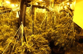 Polizeipräsidium Nordhessen - Kassel: POL-KS: Professionelle Cannabisplantage bei Hausdurchsuchung ausgehoben: Zwei Tatverdächtige in U-Haft
