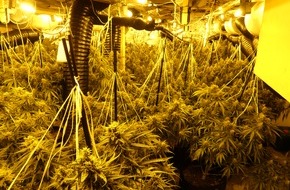Polizeipr&auml;sidium Nordhessen: POL-KS: Professionelle Cannabisplantage bei Hausdurchsuchung ausgehoben: Zwei Tatverd&auml;chtige in U-Haft