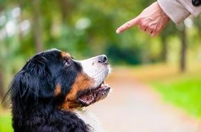 ROLAND Rechtsschutz-Versicherungs-AG: Bellen, Beißen, Blechschaden: Was Hundebesitzer über rechtliche Risiken wissen sollten