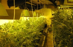 Polizeidirektion Bad Segeberg: POL-SE: Uetersen, Ellerhoop, Elmshorn - Polizei entdeckt drei professionelle Marihuana-Plantagen