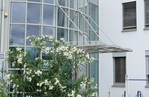Polizei Rheinisch-Bergischer Kreis: POL-RBK: Bergisch Gladbach - 250 cm hoher weißer Oleander liegt auf der Fahrbahn - Besitzer gesucht!