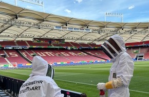 Feuerwehr Stuttgart: FW Stuttgart: Bienenschwarm in der Arena Stuttgart