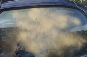 Polizeidirektion Neumünster: POL-NMS: 250523-1-pdnms Zeugen oder Hinweisgeber nach Sachbeschädigung in Rendsburg gesucht