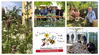 Letzter Aufruf 📣: Bundesweit naturnah gestaltete Balkons, Gärten und Firmengelände gesucht 🌸 🐝 🏆