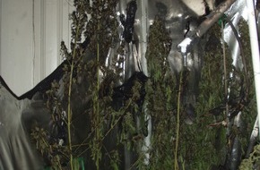 Polizei Düsseldorf: POL-D: Mini-Cannabiszucht nach Schwelbrand in Eller entdeckt - Rauschgiftkommissariat ermittelt gegen die beiden 28-jährigen Wohnungsinhaber