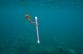 Mediavanti GmbH: Deutschlandpremiere: National Geographic-Ausstellung "Planet or Plastic?" will Bewusstsein für das Problem Plastikmüll stärken / Ab 30. April vier Monate lang in Oldenburg zu sehen