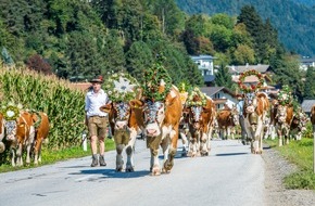 oberhollenzer kommunikation & eventorganisation: Wenn die Kühe kommen