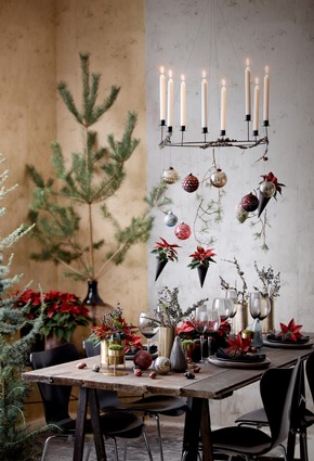 Farbenfroher Blumenschmuck für die Festtafel - Tischdekorationen mit Weihnachtssternen im natürlichen Green Living-Stil