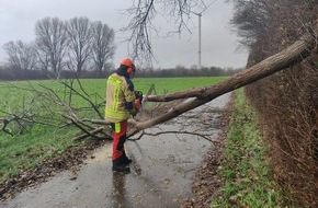 Freiwillige Feuerwehr Alpen: FW Alpen: Sturmschaden am Freizeitsee