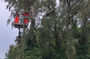 Feuerwehr Mülheim an der Ruhr: FW-MH: Kurzes Unwetter über Mülheim am Nachmittag führte zu Einsätzen für die Feuerwehr