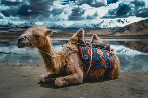 Mit Eberhardt TRAVEL nach Xinjiang: 18 Tage Natur &amp; Kultur im Wilden Westen Chinas