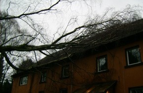 Feuerwehr Mettmann: FW Mettmann: Baum stürzte auf das Dach eines Mehrfamilienhauses