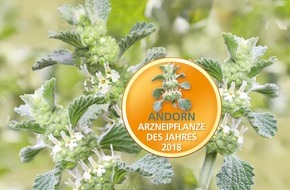 CGC Cramer-Gesundheits-Consulting GmbH: Therapie der akuten Bronchitis mit Erkältungshusten: "Abwarten ist keine Lösung" - bei ersten Anzeichen 3fach-wirksame Senföle und Andorn einsetzen