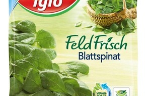 iglo Deutschland: Es brodelt in der Gerüchteküche: iglo räumt auf mit Zubereitungs-Mythen (BILD)