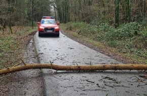 Feuerwehr Schermbeck: FW-Schermbeck: Sturmschaden für den Löschzug Altschermbeck