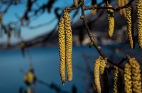 aha! Allergiezentrum Schweiz / aha! Centre d'Allergie Suisse: Achtung: Aussergewöhnlich früher Start der Pollensaison