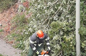 Feuerwehr Wetter (Ruhr): FW-EN: Wetter - Umgestürzter Baum auf der Hagener Straße