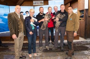 Nationalpark Hohe Tauern und Tiroler Naturparks: Seit über 20 Jahren wird der größte Greifvogel Europas, der
Bartgeier, wieder in den Alpen angesiedelt - BILD